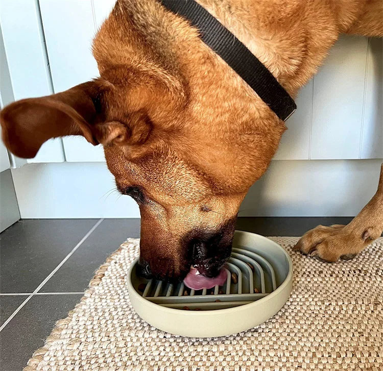 Pet supplies Slow Food Bowl Cat Anti-Knockover Anti-Slip Food Bowl Puppy Anti-choking Silicone Toy Food Plate