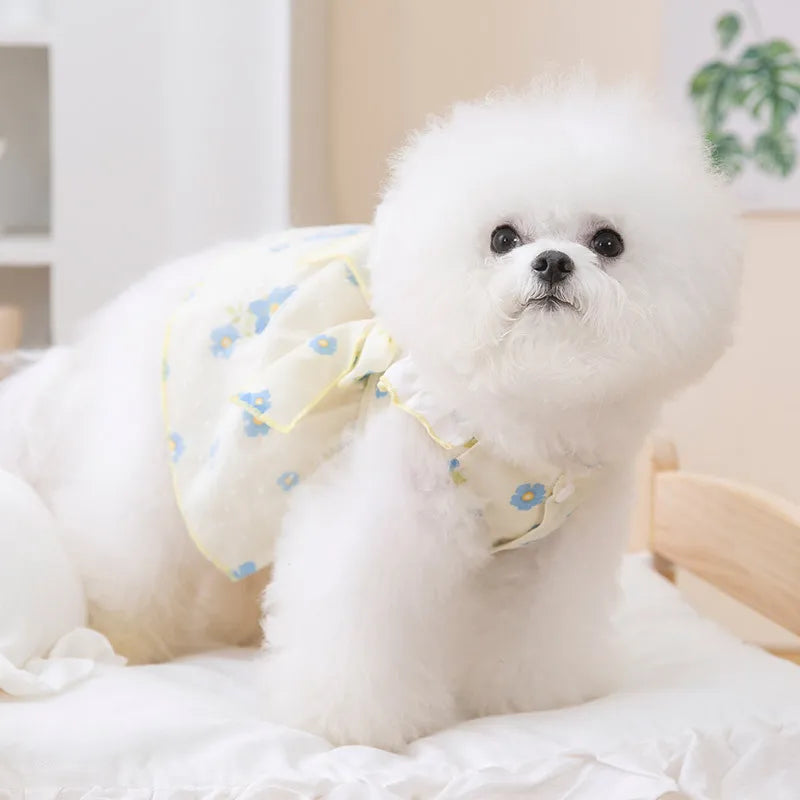 Dog Princess Dress Cute Pet Dog Mesh Dress Kitten Puppy Pet Skirt Summer Dog Dress Bow Lace Korean Poodle Chihuahua Dog Clothes