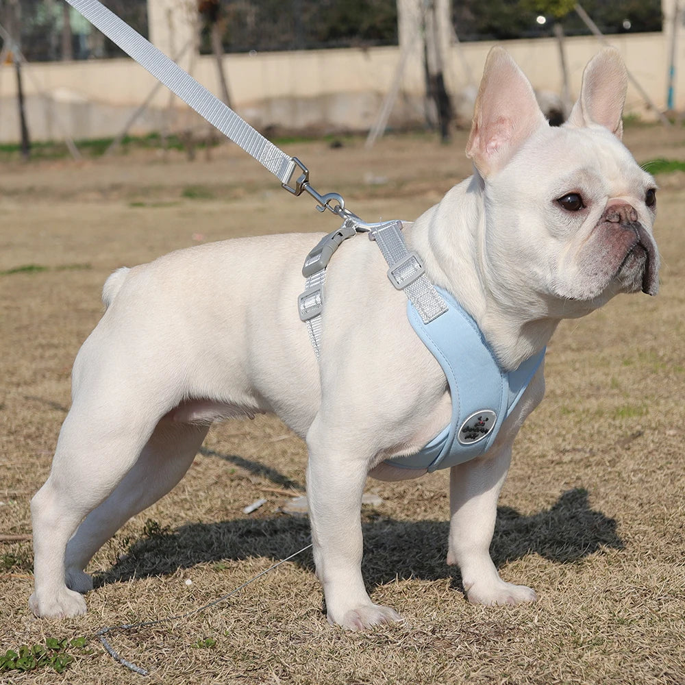 Dog Harness Leash Set Breathable Pet Chest Strap Reflective French Bulldog Vest Harness for Small Medium Dogs Puppy Collar Yorks
