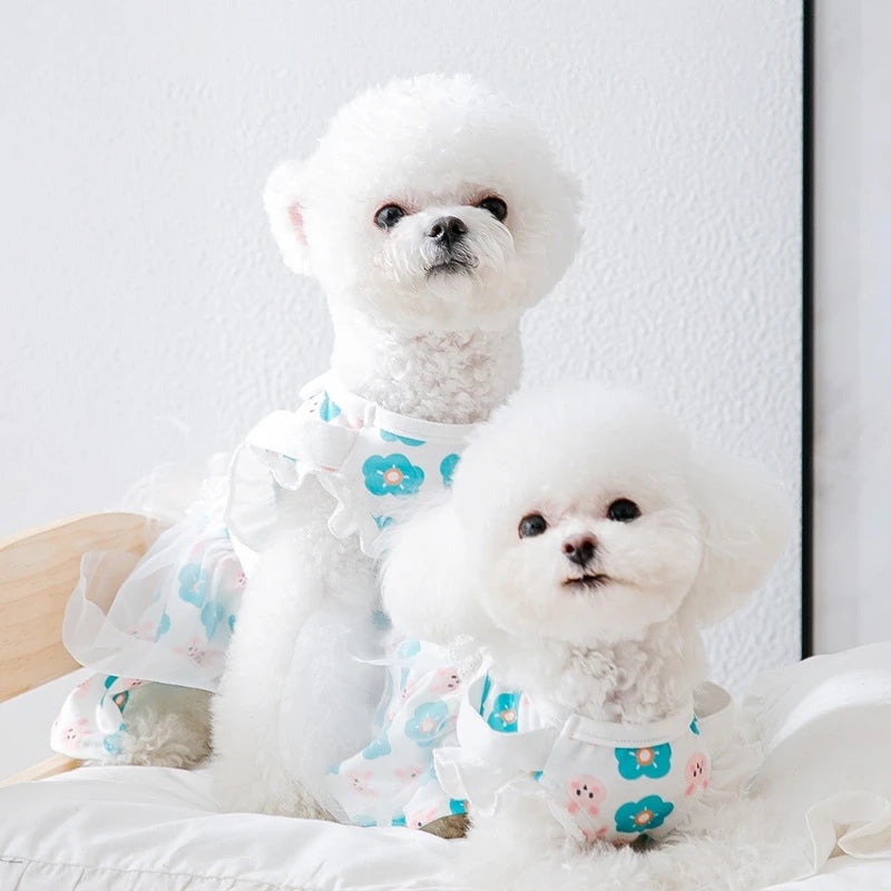Dog Princess Dress Cute Pet Dog Mesh Dress Kitten Puppy Pet Skirt Summer Dog Dress Bow Lace Korean Poodle Chihuahua Dog Clothes