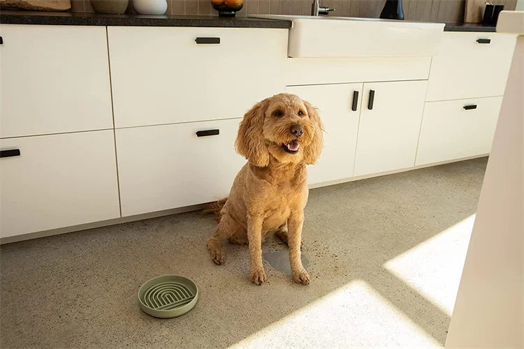 Pet supplies Slow Food Bowl Cat Anti-Knockover Anti-Slip Food Bowl Puppy Anti-choking Silicone Toy Food Plate