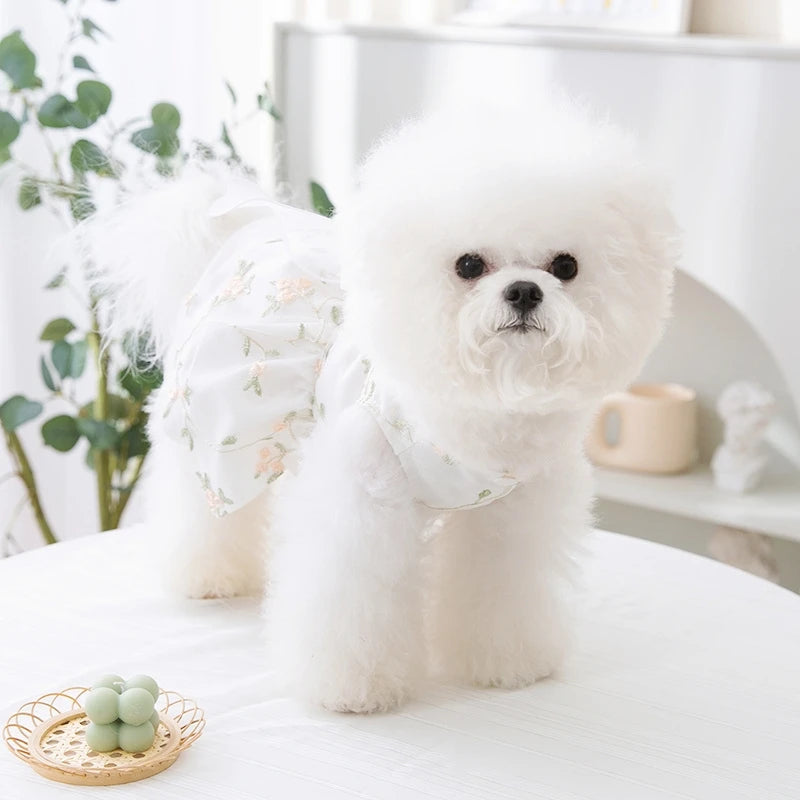 Dog Princess Dress Cute Pet Dog Mesh Dress Kitten Puppy Pet Skirt Summer Dog Dress Bow Lace Korean Poodle Chihuahua Dog Clothes