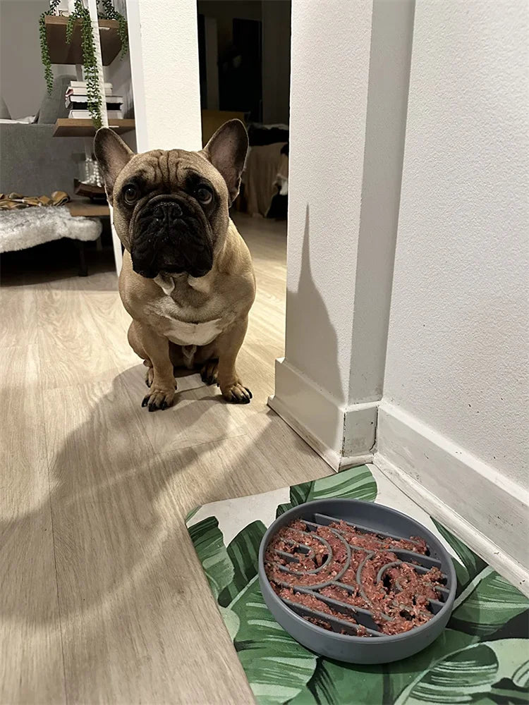 Pet supplies Slow Food Bowl Cat Anti-Knockover Anti-Slip Food Bowl Puppy Anti-choking Silicone Toy Food Plate