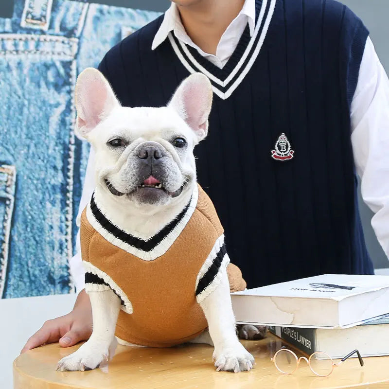 College Style Pet Dog Sweater Winter Warm Dog Clothes for Small Medium Dogs Puppy Cat Vest Chihuahua French Bulldog Yorkie Coat