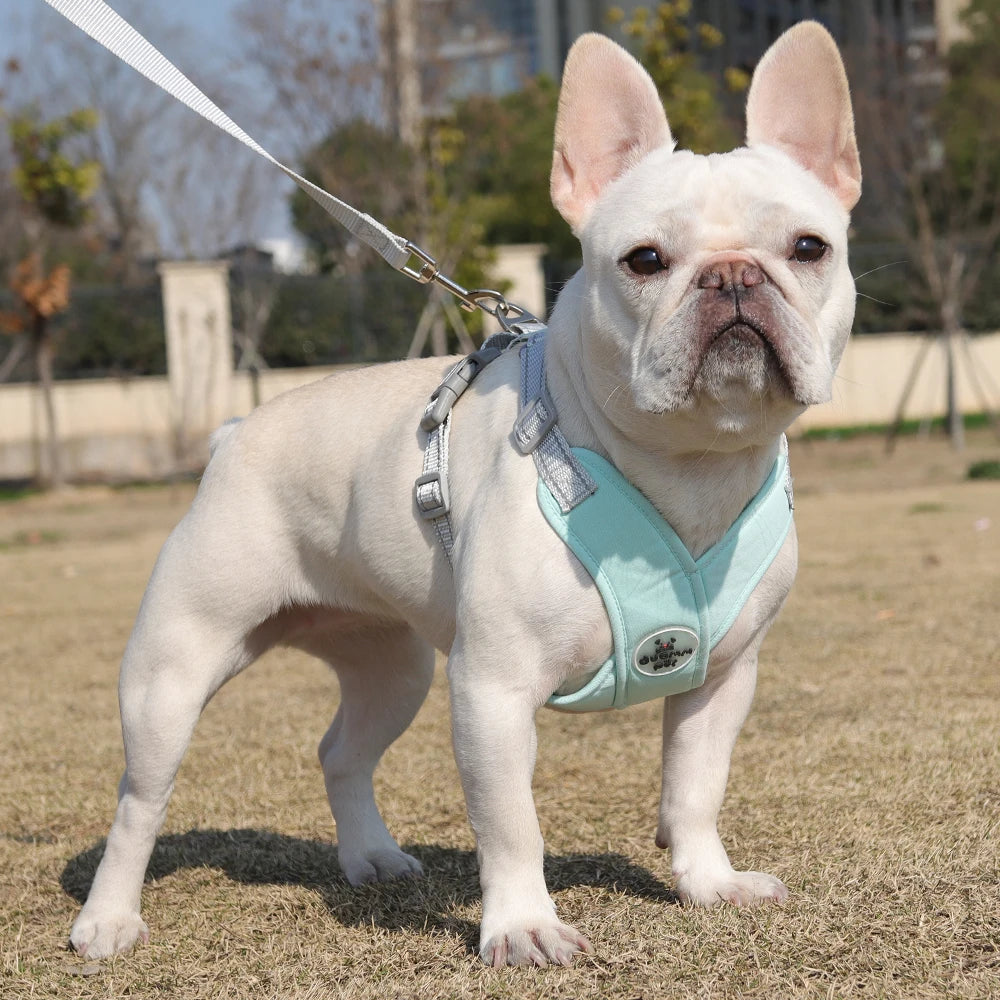 Dog Harness Leash Set Breathable Pet Chest Strap Reflective French Bulldog Vest Harness for Small Medium Dogs Puppy Collar Yorks