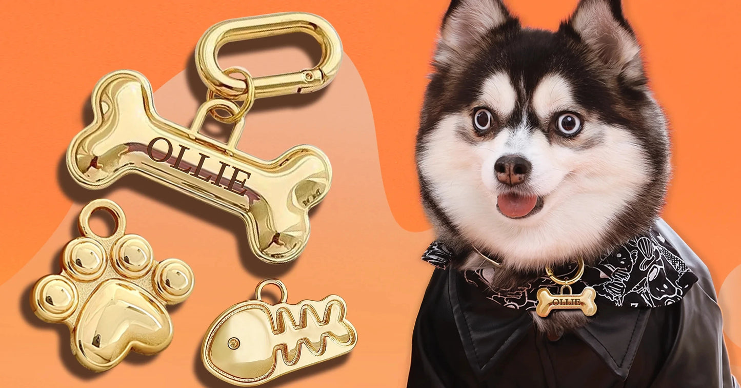 Memopaw Design Personalized Pet Dog Name Tag Copper Free Engraving Anti-lost Collars Tag for Dogs Cats Nameplate