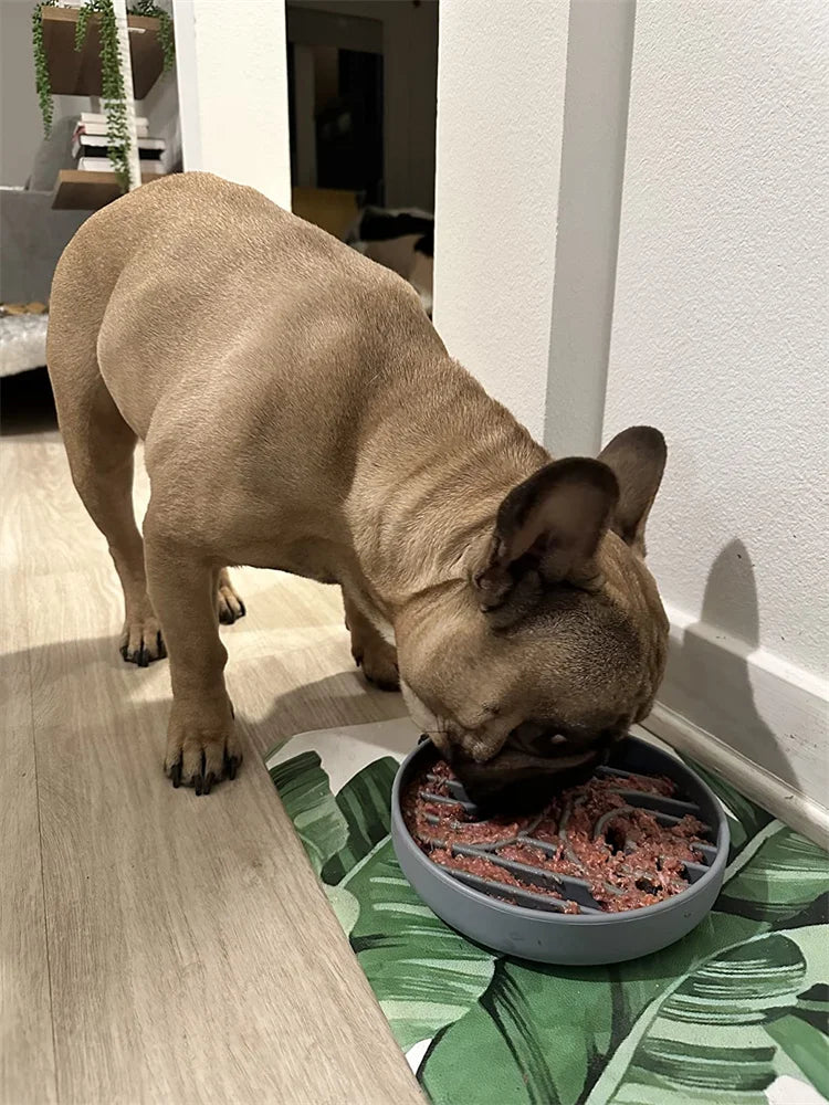 Pet supplies Slow Food Bowl Cat Anti-Knockover Anti-Slip Food Bowl Puppy Anti-choking Silicone Toy Food Plate