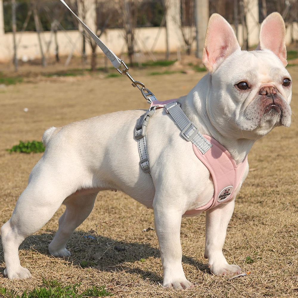 Dog Harness Leash Set Breathable Pet Chest Strap Reflective French Bulldog Vest Harness for Small Medium Dogs Puppy Collar Yorks
