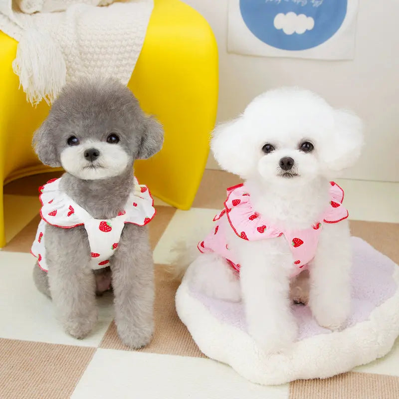 Dog Strawberry Dress Puppy Summer Clothes Luxury Dog Skirt Pet Dog Apparel Bow Dog Suspenders Chihuahua Bichon Girls Dog Costume