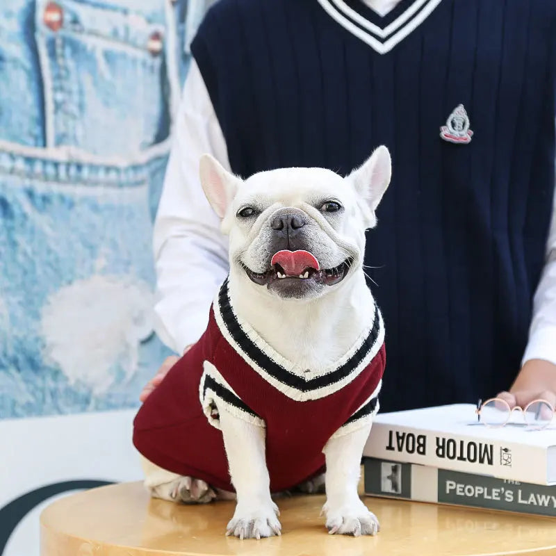 College Style Pet Dog Sweater Winter Warm Dog Clothes for Small Medium Dogs Puppy Cat Vest Chihuahua French Bulldog Yorkie Coat