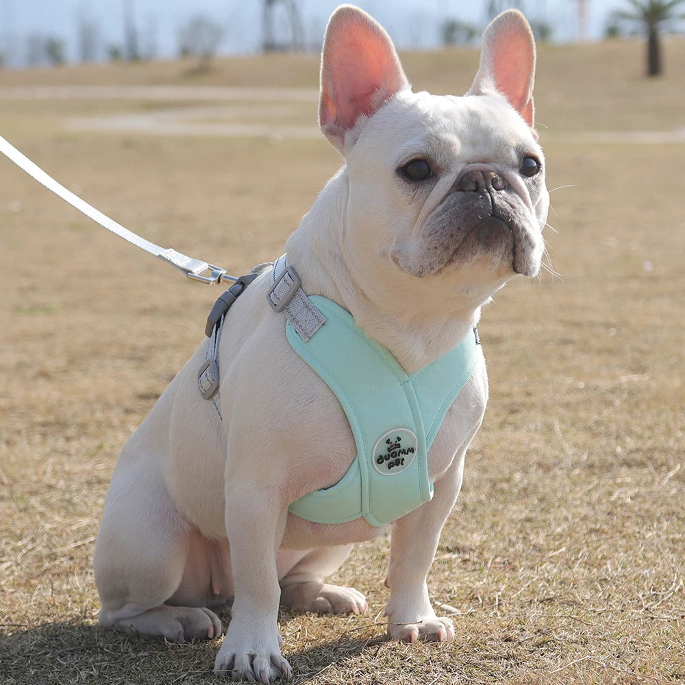 Dog Harness Leash Set Breathable Pet Chest Strap Reflective French Bulldog Vest Harness for Small Medium Dogs Puppy Collar Yorks