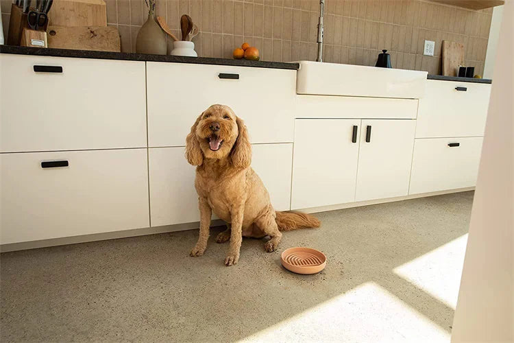 Pet supplies Slow Food Bowl Cat Anti-Knockover Anti-Slip Food Bowl Puppy Anti-choking Silicone Toy Food Plate
