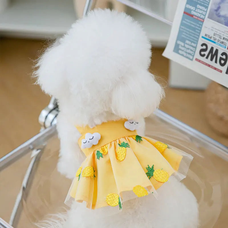 Dog Princess Dress Cute Pet Dog Mesh Dress Kitten Puppy Pet Skirt Summer Dog Dress Bow Lace Korean Poodle Chihuahua Dog Clothes