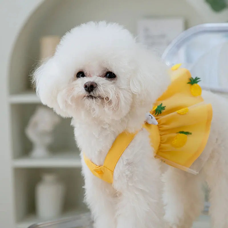 Dog Princess Dress Cute Pet Dog Mesh Dress Kitten Puppy Pet Skirt Summer Dog Dress Bow Lace Korean Poodle Chihuahua Dog Clothes