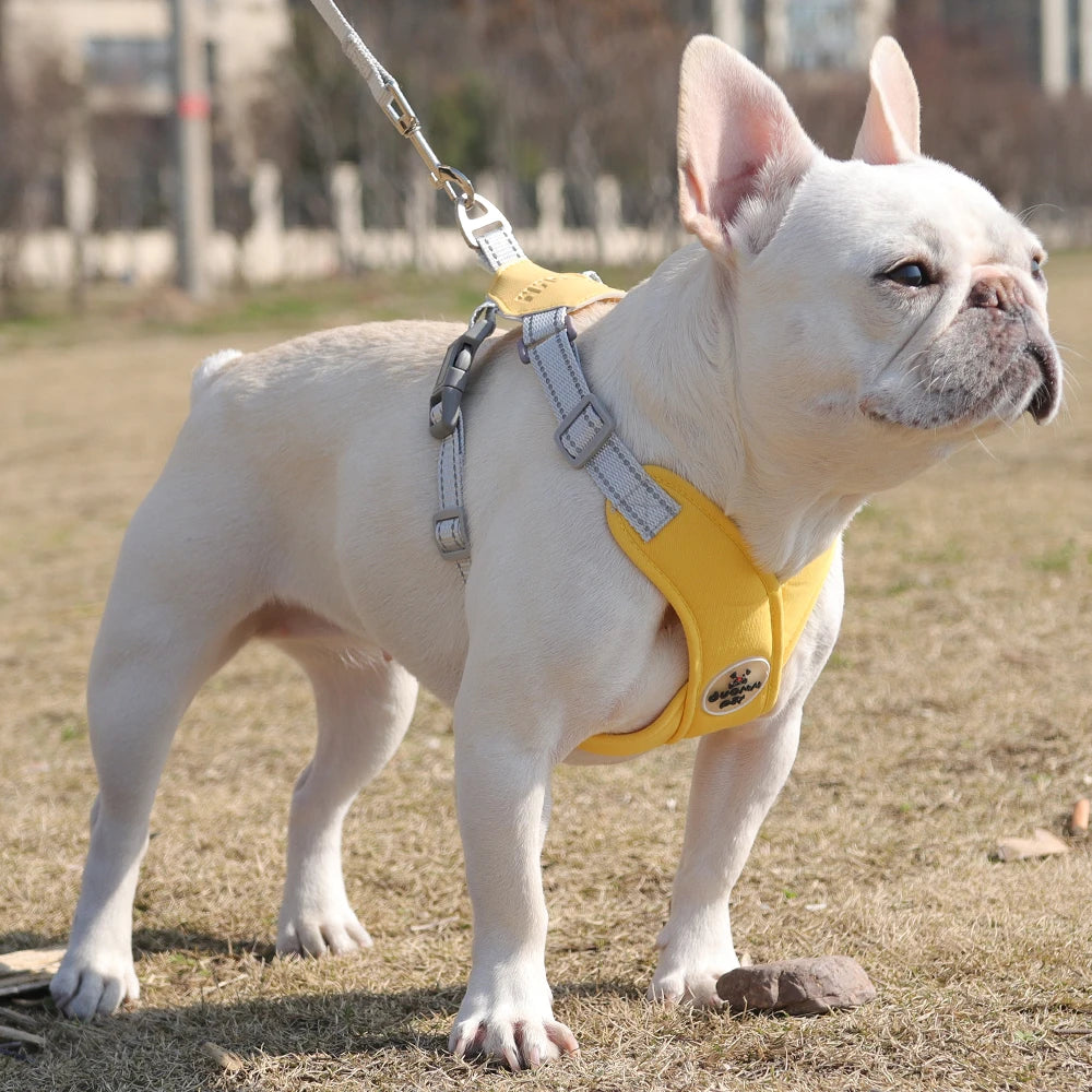 Dog Harness Leash Set Breathable Pet Chest Strap Reflective French Bulldog Vest Harness for Small Medium Dogs Puppy Collar Yorks