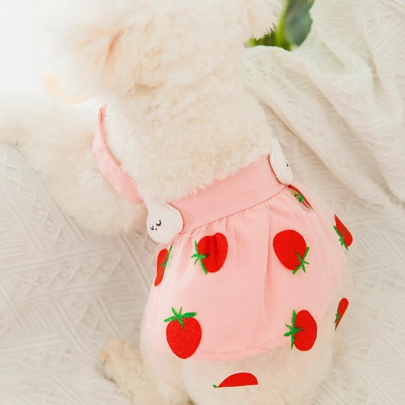 Dog Princess Dress Cute Pet Dog Mesh Dress Kitten Puppy Pet Skirt Summer Dog Dress Bow Lace Korean Poodle Chihuahua Dog Clothes