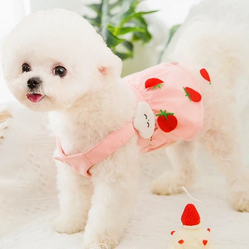 Dog Princess Dress Cute Pet Dog Mesh Dress Kitten Puppy Pet Skirt Summer Dog Dress Bow Lace Korean Poodle Chihuahua Dog Clothes