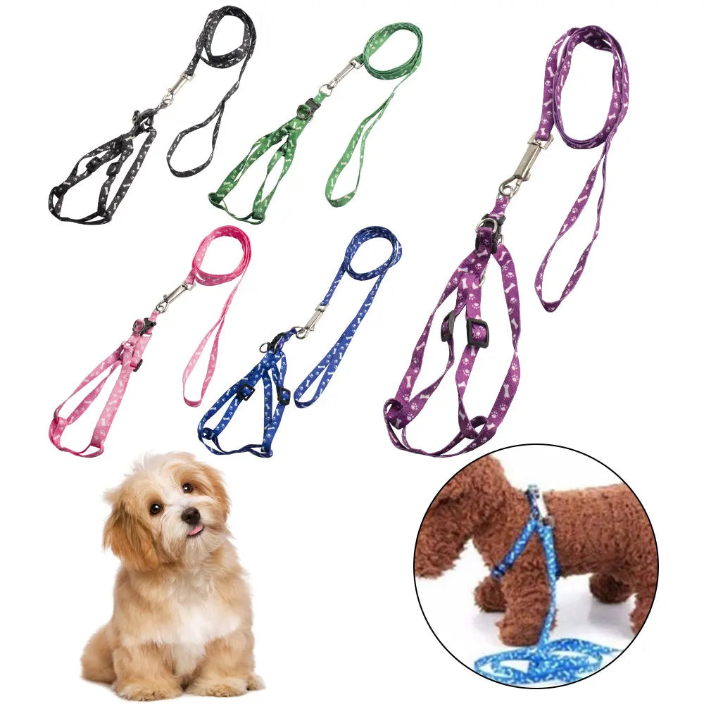Dog Leash Small Pet Cat Puppy Kitten Rabbit Dog Harness Lead Leash Collar Same Day Post, Dropshipping , Wholesale
