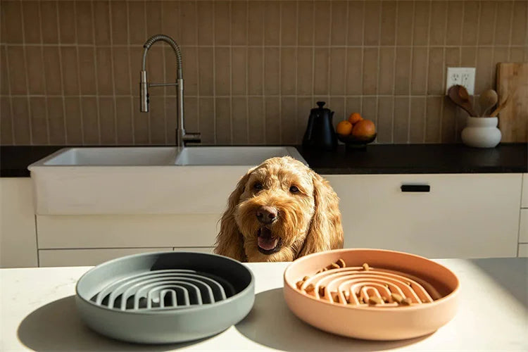 Pet supplies Slow Food Bowl Cat Anti-Knockover Anti-Slip Food Bowl Puppy Anti-choking Silicone Toy Food Plate
