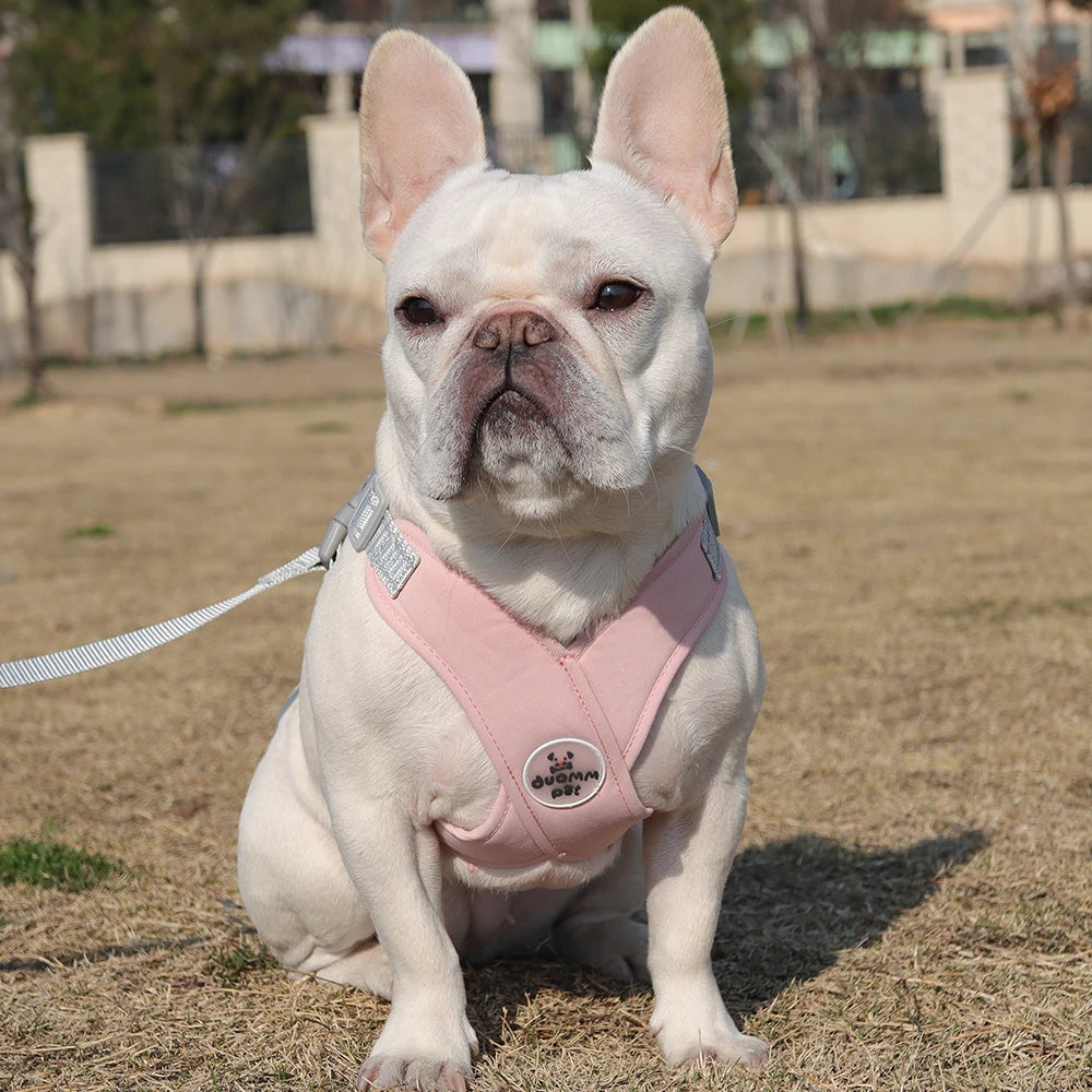 Dog Harness Leash Set Breathable Pet Chest Strap Reflective French Bulldog Vest Harness for Small Medium Dogs Puppy Collar Yorks