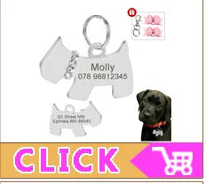 Bling Rhinestone Puppy Dog Collars Personalized Small Dogs Chihuahua Collar Custom Necklace Free Name Charms Pet Accessories