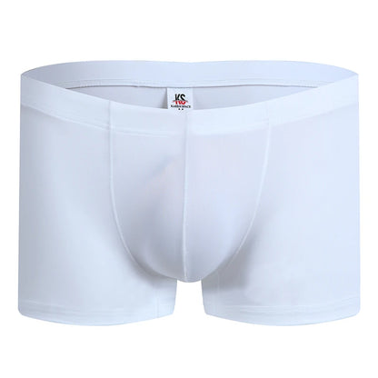 Fashion Boxers Ice Silk Man Underwear Underpants Breathable Comfortable Men's Panties Ultrathin BoxerShorts Trunks