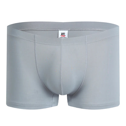 Fashion Boxers Ice Silk Man Underwear Underpants Breathable Comfortable Men's Panties Ultrathin BoxerShorts Trunks