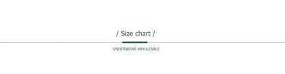 Cotton Briefs Lady 5 PCS/SET Lace Panty Underpants Seamless Panties For Women Lingerie