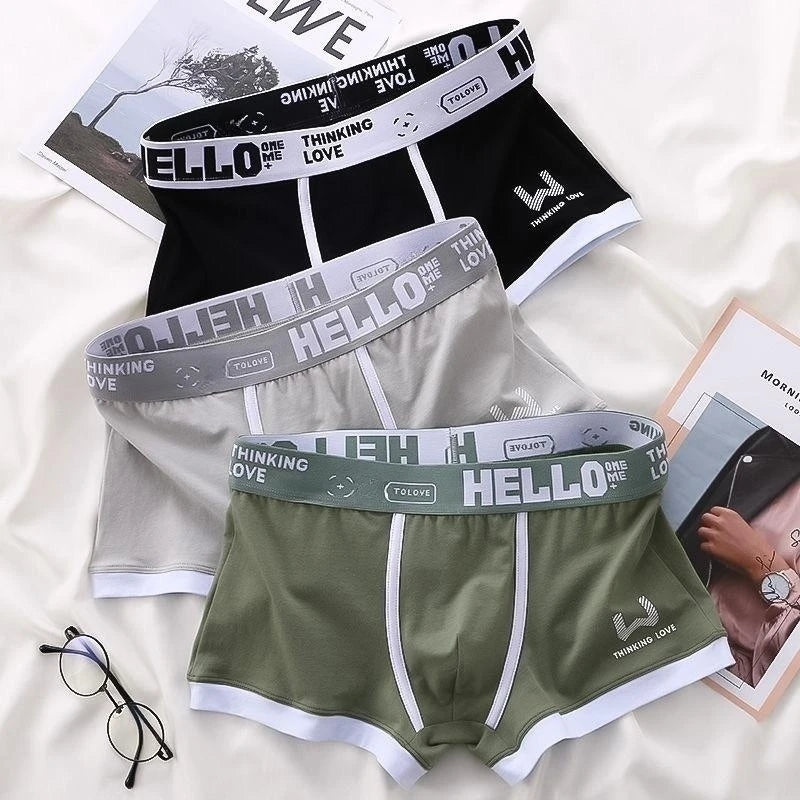 Men's Panties Boxer Shorts Men Underwear Cotton Male Underwear Boxers Sexy Boxershorts Underpants Man Calzoncillos para hombres
