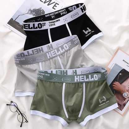 Men's Panties Boxer Shorts Men Underwear Cotton Male Underwear Boxers Sexy Boxershorts Underpants Man Calzoncillos para hombres