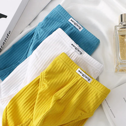 Cotton Briefs Men Sexy Bulge Pouch Underwear Sweat Absorption Underpants Breathable Panties Striped Knickers Male Soft Lingerie