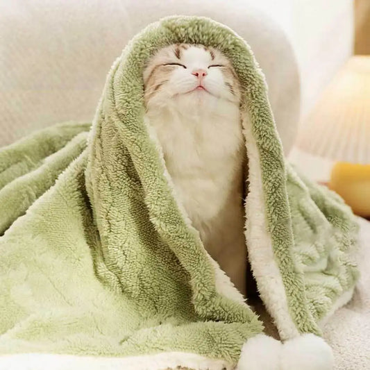 Pet Blanket Warm Dogs Cats Plush Blanket Thickened Warm Pet Sleeping Blanket for Dogs Cats Pet Supplies manta perros mascotas