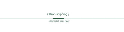 Cotton Briefs Lady 5 PCS/SET Lace Panty Underpants Seamless Panties For Women Lingerie