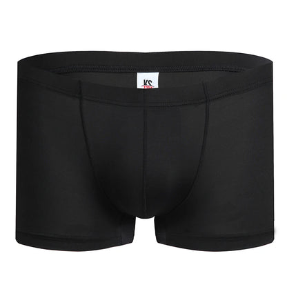 Fashion Boxers Ice Silk Man Underwear Underpants Breathable Comfortable Men's Panties Ultrathin BoxerShorts Trunks