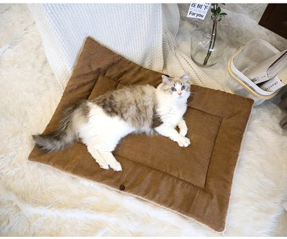 Cat Bed Warm Thickened Soft Multifunctional Pet Foldable Mat for Cats Small Dogs Indoor Kitten Bed Cat Sleeping Mat Pet Supplies