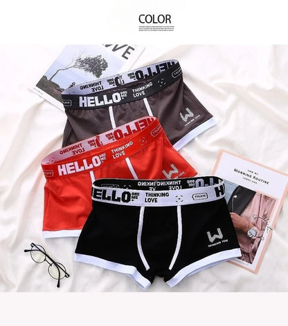 Men's Panties Boxer Shorts Men Underwear Cotton Male Underwear Boxers Sexy Boxershorts Underpants Man Calzoncillos para hombres