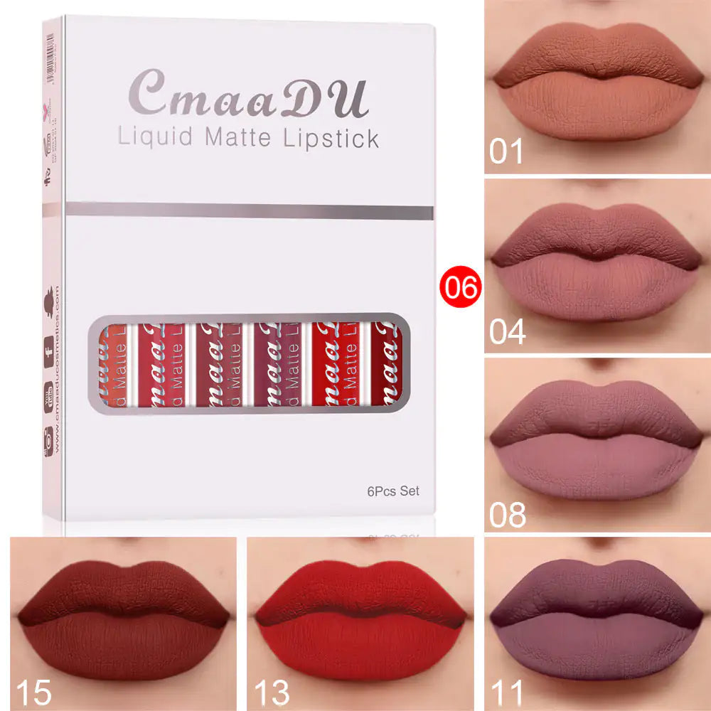 Boxes of Matte Waterproof Long-Lasting Lip Gloss